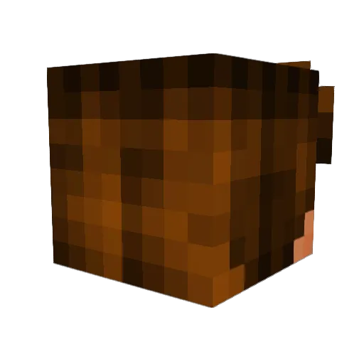 Ollyhenry Minecraft avatar head, 3D render