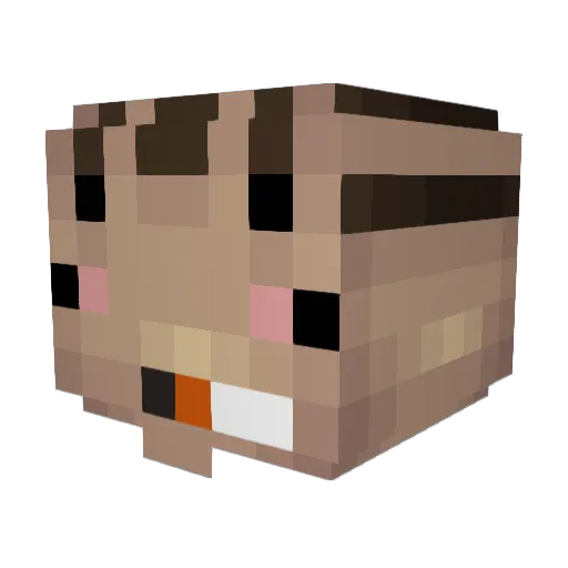 Olo_Brot Minecraft avatar head, 3D render