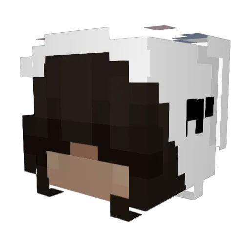 Olovaris Minecraft avatar head, 3D render