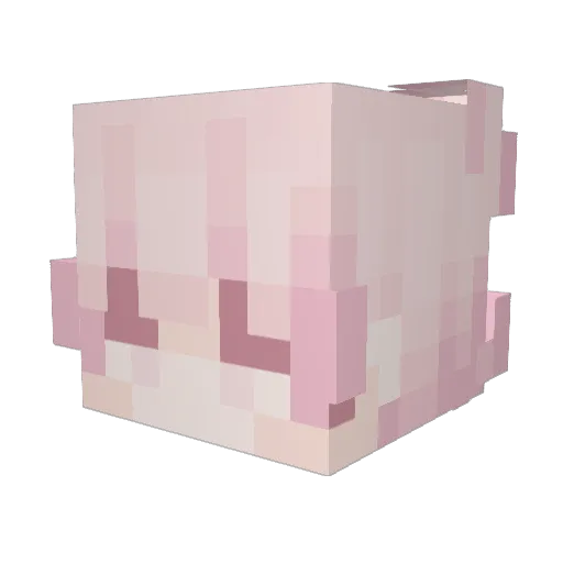 Olvidate Minecraft avatar head, 3D render