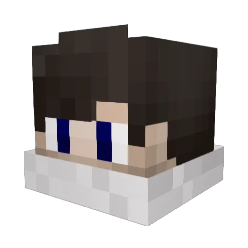 Om3gaPlayZ Minecraft avatar head, 3D render