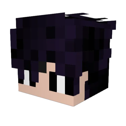 Om3gaSkillz Minecraft avatar head, 3D render