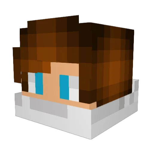 OmG_OLE Minecraft avatar head, 3D render