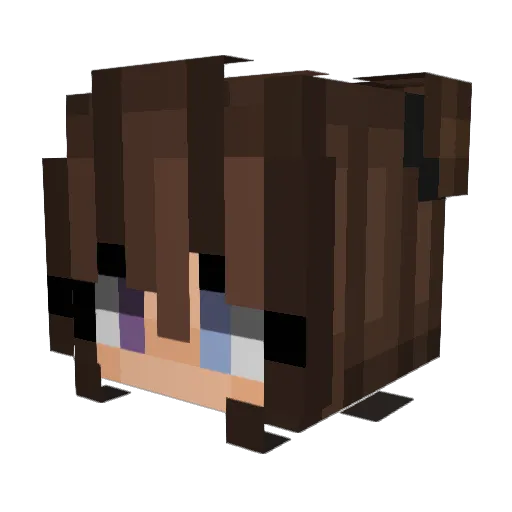 OmNomNom2805 Minecraft avatar head, 3D render