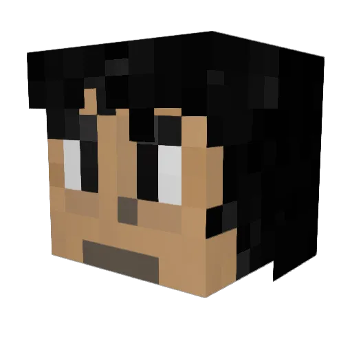 Omaly Minecraft avatar head, 3D render