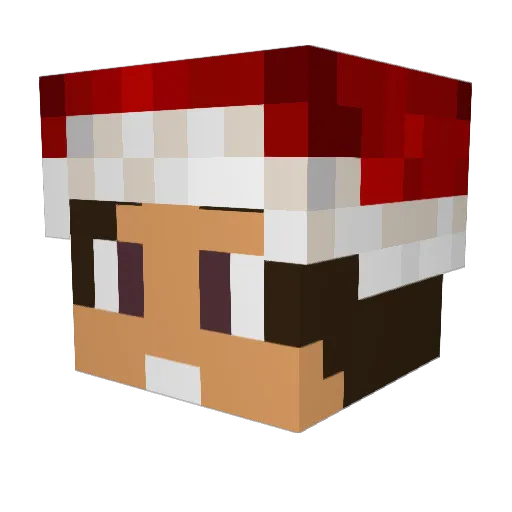OmarGO20 Minecraft avatar head, 3D render