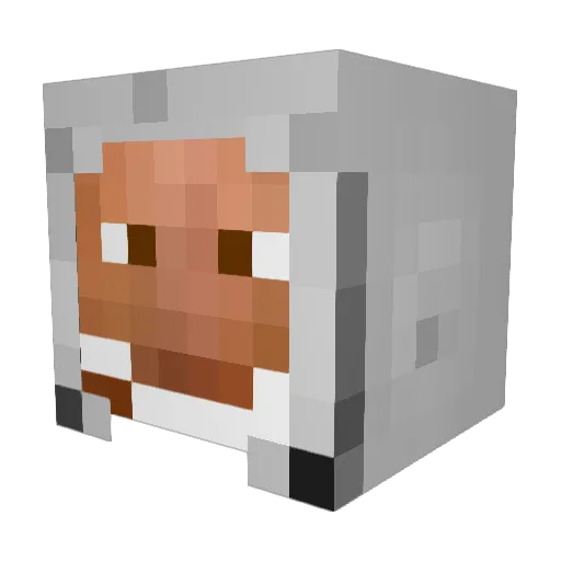 OmastaC Minecraft avatar head, 3D render