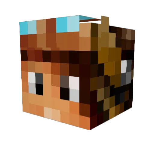 Omba73 Minecraft avatar head, 3D render