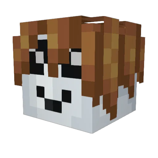 OmbraMonter Minecraft avatar head, 3D render
