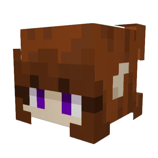 OmbreFoncee Minecraft avatar head, 3D render