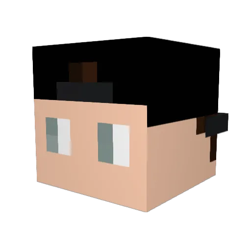 Ome_Randy Minecraft avatar head, 3D render