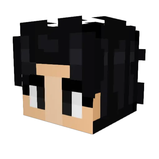Omega2042 Minecraft avatar head, 3D render