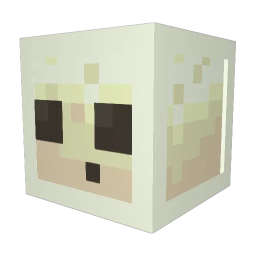 Omega340 Minecraft avatar head, 3D render