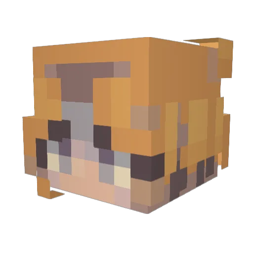 OmegaDemon592 Minecraft avatar head, 3D render