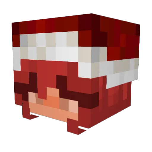 OmegaPorte Minecraft avatar head, 3D render