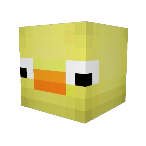 OmegaTurtles Minecraft avatar head, 3D render