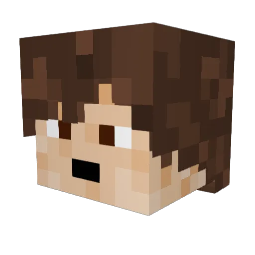 Omega_Ocelot Minecraft avatar head, 3D render