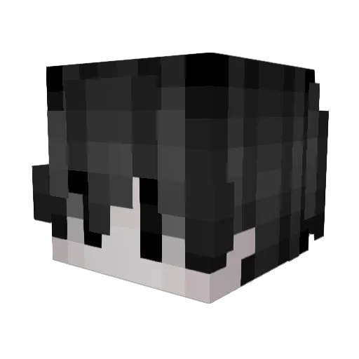 Omegapedro30 Minecraft avatar head, 3D render