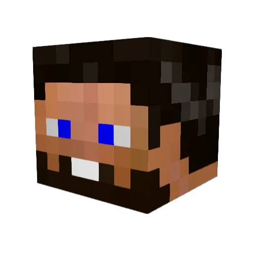 Omeglepoint07 Minecraft avatar head, 3D render