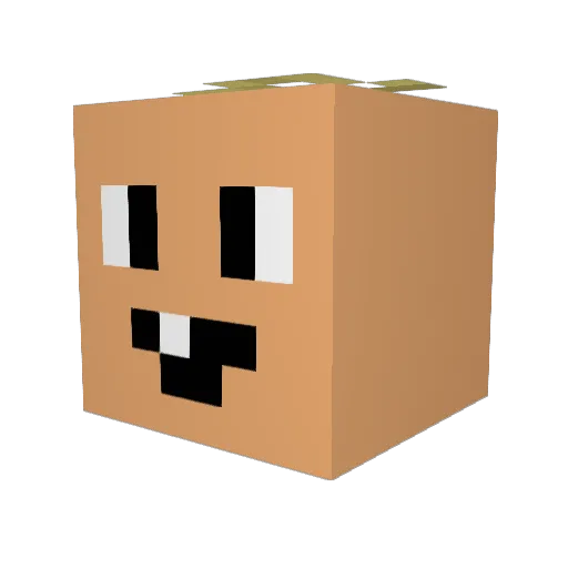 OmeletaCZE Minecraft avatar head, 3D render