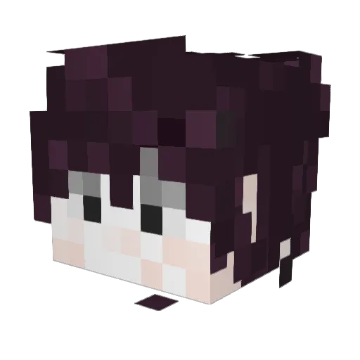 OmeletteMaster Minecraft avatar head, 3D render
