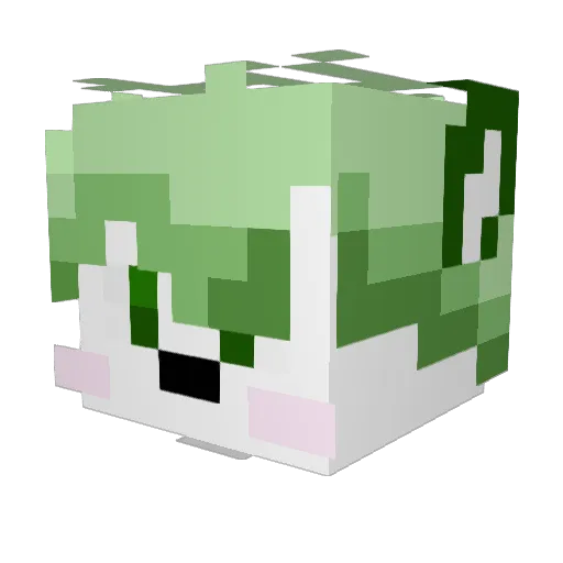 Omen8325 Minecraft avatar head, 3D render