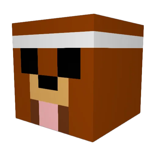 Omen_BRO Minecraft avatar head, 3D render