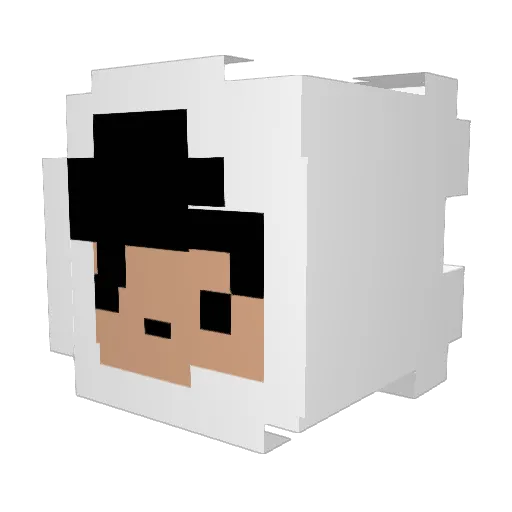 OmerOrhan Minecraft avatar head, 3D render