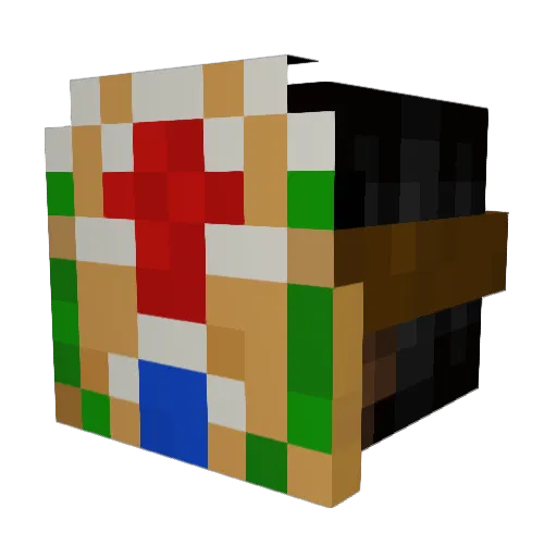 OmgGamer009 Minecraft avatar head, 3D render