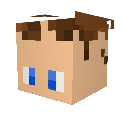 OmgItsR7 Minecraft avatar head, 3D render