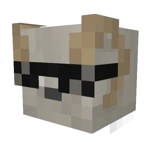 OminousSun Minecraft avatar head, 3D render