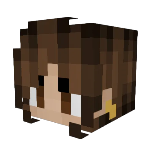 Omlu Minecraft avatar head, 3D render
