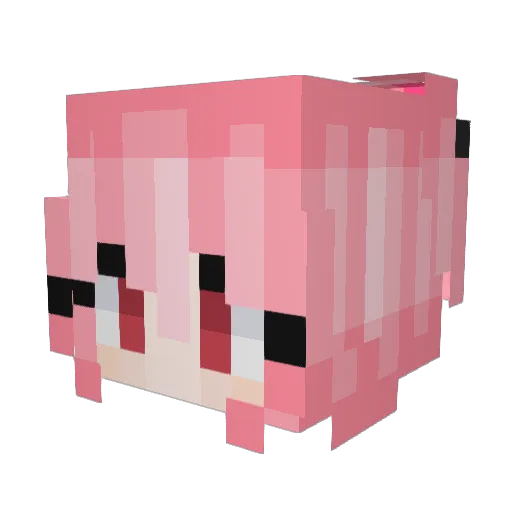 Omn1scientReader Minecraft avatar head, 3D render