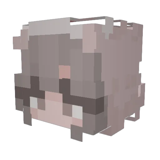 Omne23 Minecraft avatar head, 3D render