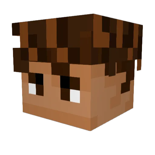 OmniParadox Minecraft avatar head, 3D render