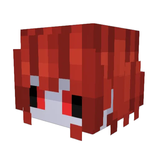 OmniPlayer000 Minecraft avatar head, 3D render