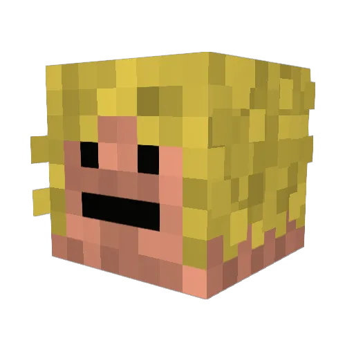 Omniboy Minecraft avatar head, 3D render