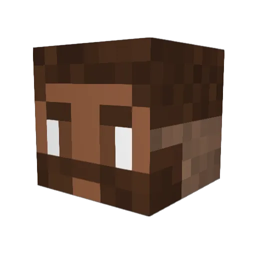 Omnicopter1 Minecraft avatar head, 3D render