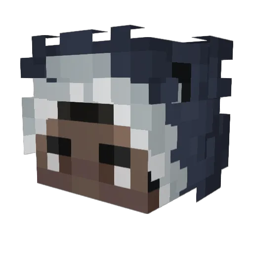 Omnidrivitus Minecraft avatar head, 3D render