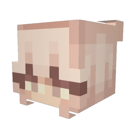 Omnomaus Minecraft avatar head, 3D render