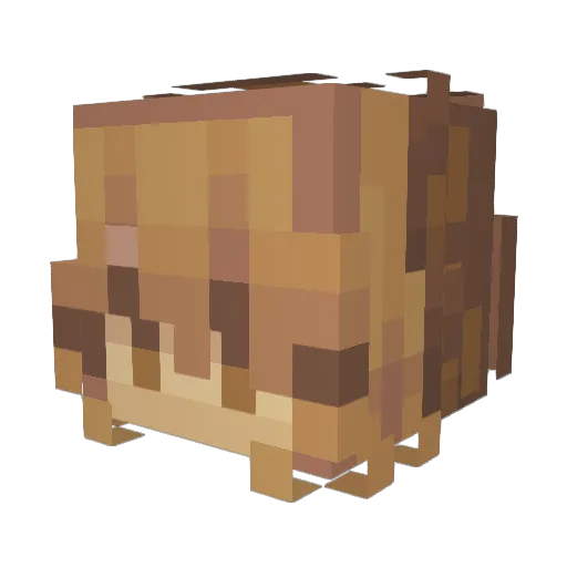 Omnusual Minecraft avatar head, 3D render