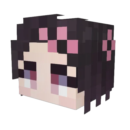 Omosessuale Minecraft avatar head, 3D render