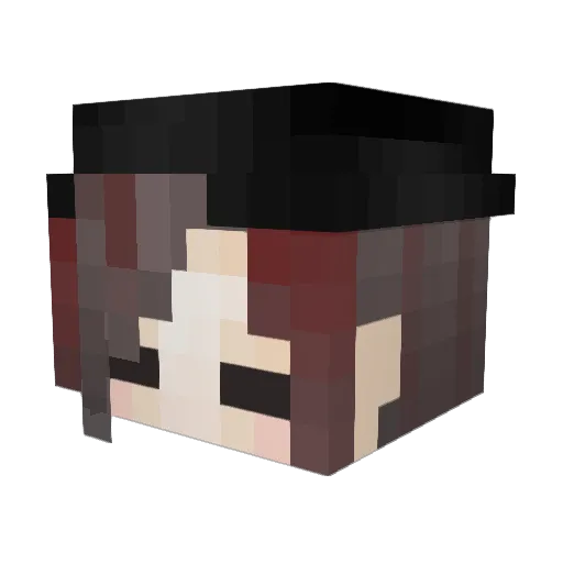 Omotidog Minecraft avatar head, 3D render