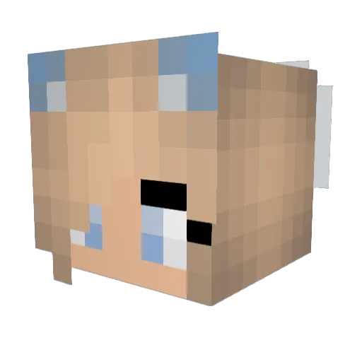 Ompelimo Minecraft avatar head, 3D render