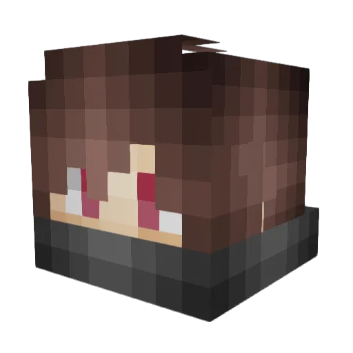 OnGoingBear Minecraft avatar head, 3D render