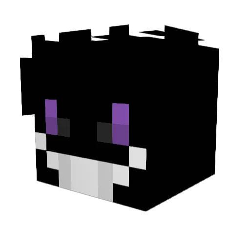 OnNote Minecraft avatar head, 3D render