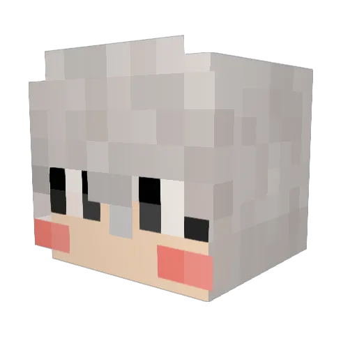 OnOOnO Minecraft avatar head, 3D render