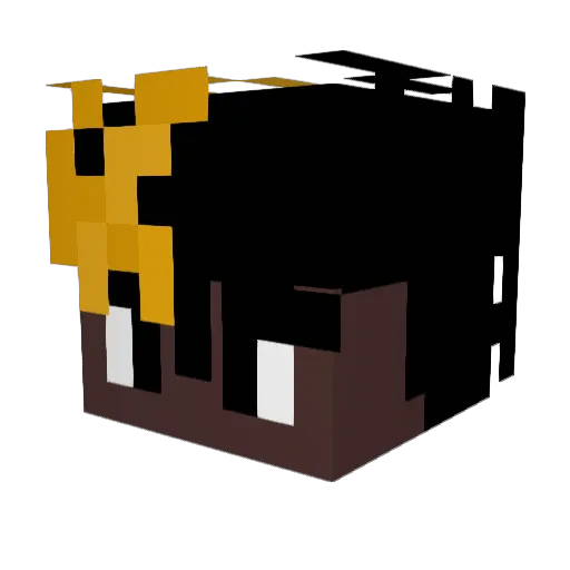 OnPoo Minecraft avatar head, 3D render