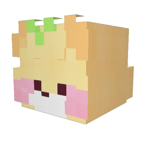 OnYi14 Minecraft avatar head, 3D render