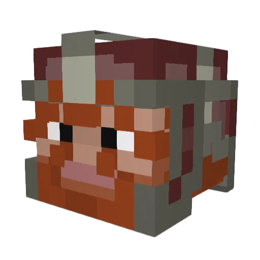 OnZe42 Minecraft avatar head, 3D render